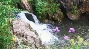 красоты-гурьевского-района.9.07.2023