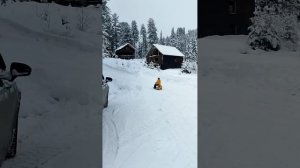 Алтай. Мотопривод для снегоката. Детская радость.