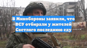В Минобороны заявили, что ВСУ отбирали у жителей Светлого последнюю еду