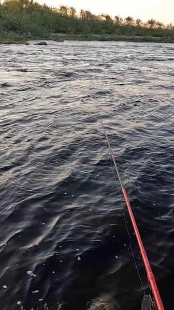 НА ПОПЛАВОК смотреть онлайн