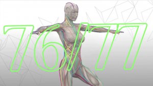 Поза создает диагональное вытяжение мышечных фасций