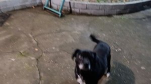 вечерняя прогулочка