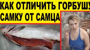 Выбираем горбушу с икрой,самку.Как определить /Wir wahlen einen Lachsfisch mit Kaviar, ein Weibchen