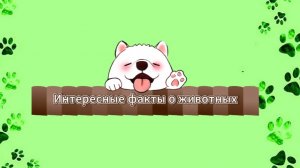 Интересные факты о животных