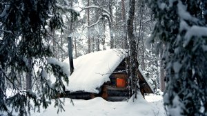 НЕОБЫЧНАЯ НАХОДКА. РУЖЬЁ ЗАМЕРЗЛО! ОХОТА И РЫБАЛКА В ГЛУХОЗИМЬЕ.