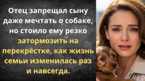 Истории из жизни|Собака раздора!|Аудио рассказы|Аудиокниги слушать онлайн|Жизненные истории