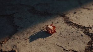 Нервный срыв (версия N°2)