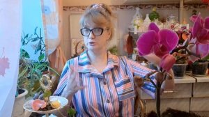 1000015540.mp4  🖋️🚀ОТВЕЧАЮ НА ВОПРОСЫ ПОДПИСЧИКОВ💃🔥 МОИ БУДНИ 🖋️🚀