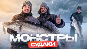 СУДАКИ-МОНСТРЫ Камского водохранилища. Такое фото должно быть У КАЖДОГО РЫБОЛОВА