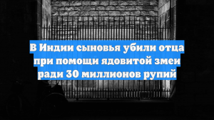 В Индии сыновья убили отца при помощи ядовитой змеи ради 30 миллионов рупий
