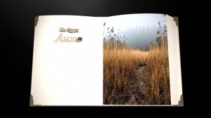 Не буди Лихо (Сборник рассказов. Том 5)