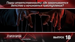 Порог ответственности: где заканчивается детство и начинается преступление? Линия анализа 18.
