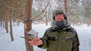 Сова в Шапке. Дневник натуралиста, 15 февраля 2024 г.