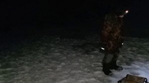 Ночная рыбалка, щука и налим!!!