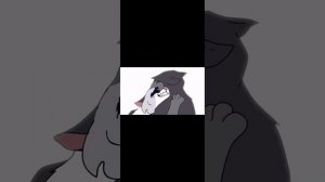 SVID_20251128_023446_1.mp4