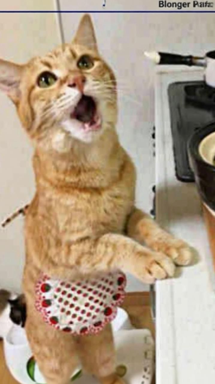 Бегство от одиночества в творчество