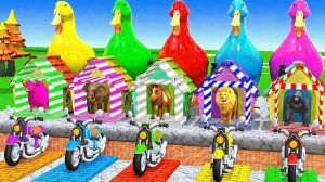 Мультики для детей и малышей. Испытания на выносливость домашних и диких животных.Мультики залипалки