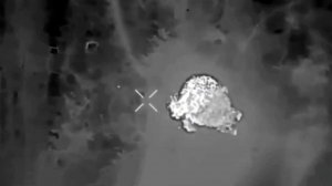 Российские военные взяли под контроль Заречное в Запорожской области.