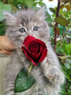 Добрый вечер ❤️