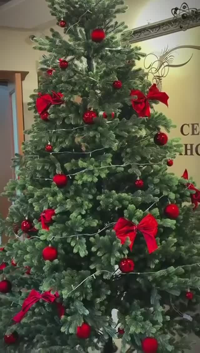 Новогодняя атмосфера в СКФЭТ 2025