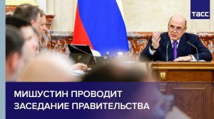 Мишустин проводит заседание правительства
