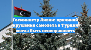 Госминистр Ливии: причиной крушения самолета в Турции могла быть неисправность