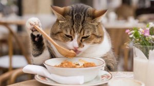 ИИ АНИМАЦИЯ