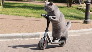 ИИ АНИМАЦИЯ