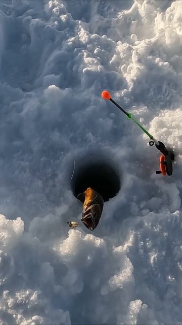 ГОЛЕЦ ГНЕТ УДОЧКУ смотреть онлайн