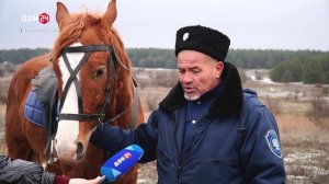 Хвойные под присмотром