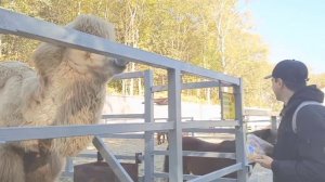 Сахалин день 9