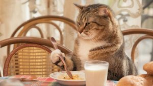 ИИ АНИМАЦИЯ