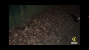 аварии на реальных событиях в Beamng.Drive#8