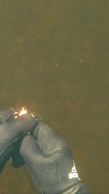 ПОДВОДНЫЕ СОКРОВИЩА: БЛЁСНЫ ИЗ ГЛУБИНЫ смотреть онлайн