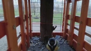 Обед подан.