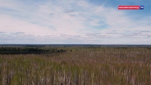 Минлесхоз_фильм_2_2024