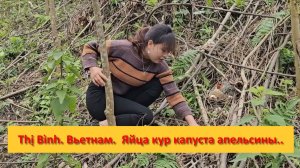 Thị Bình. Вьетнам.  Яйца кур капуста апельсины..