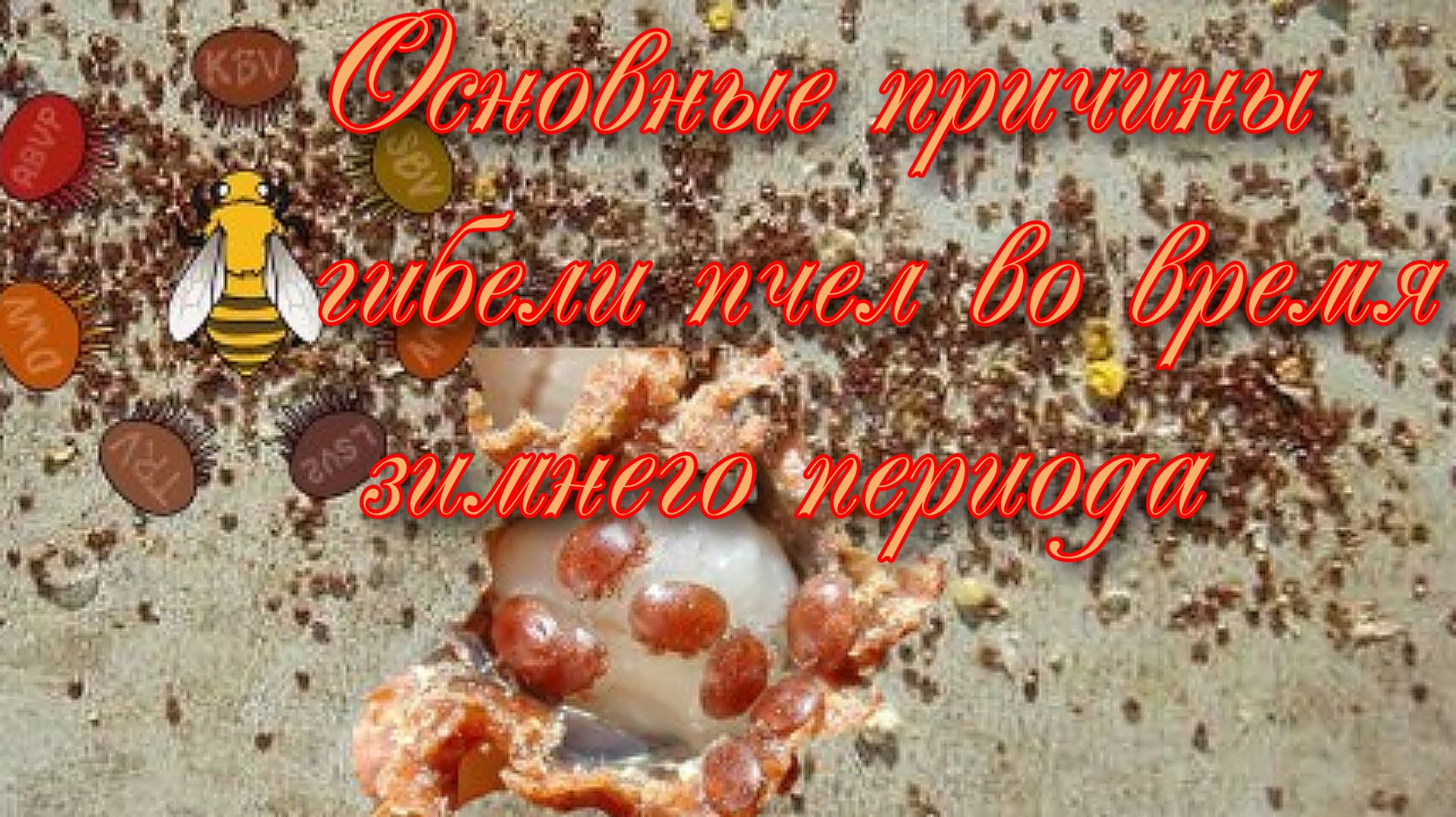 Неожиданные сюрпризы во время зимовки. смотреть онлайн