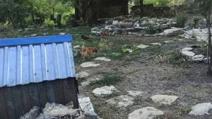 8-10 августа 2025 г. Разобрали большую комнату.