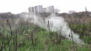 ФАКТЫ. Выпуск от 24.12.25