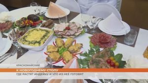 К новогоднему столу: где растят индейку и что из неё готовят