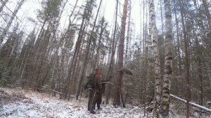 отпуск в тайге 2025 4 серия настораживаем капканы.2