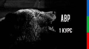 ДО11 Горбунова Арина Атмосфера Черное небо низко