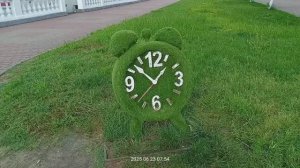 Немного о грустном, скоро уезжать. Архипка 23 июня 8_00, 2025 год Автор Юрий Кочев