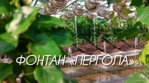 Парк Галицкого летом. Фонтан «Пергола»✅