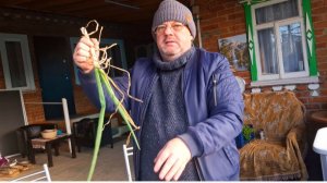 958 Урожай собрал.Зерна намолол.Хлеб из пшена.