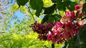 Пусть в сердце будет весна, даже если за окном зима!