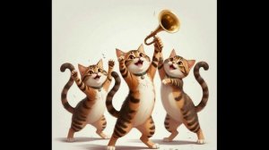 Котам котово