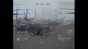 Минус первый австралийский «Абрамс».