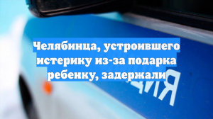 Челябинца, устроившего истерику из-за подарка ребенку, задержали